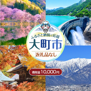 【返礼品なし】大町市　応援寄附金（一口10,000円）