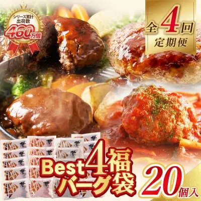 Z61-88 【4回定期便】Best4バーグ ハンバーグ 20個【合挽4種･各5個】 ハンバーグ