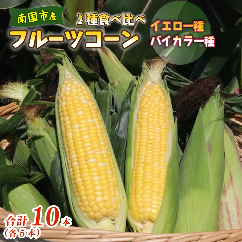 【2027年先行予約】とうもろこし 2種食べ比べ 合計10本 (イエロー バイカラー) とうもろこし フルーツコーン