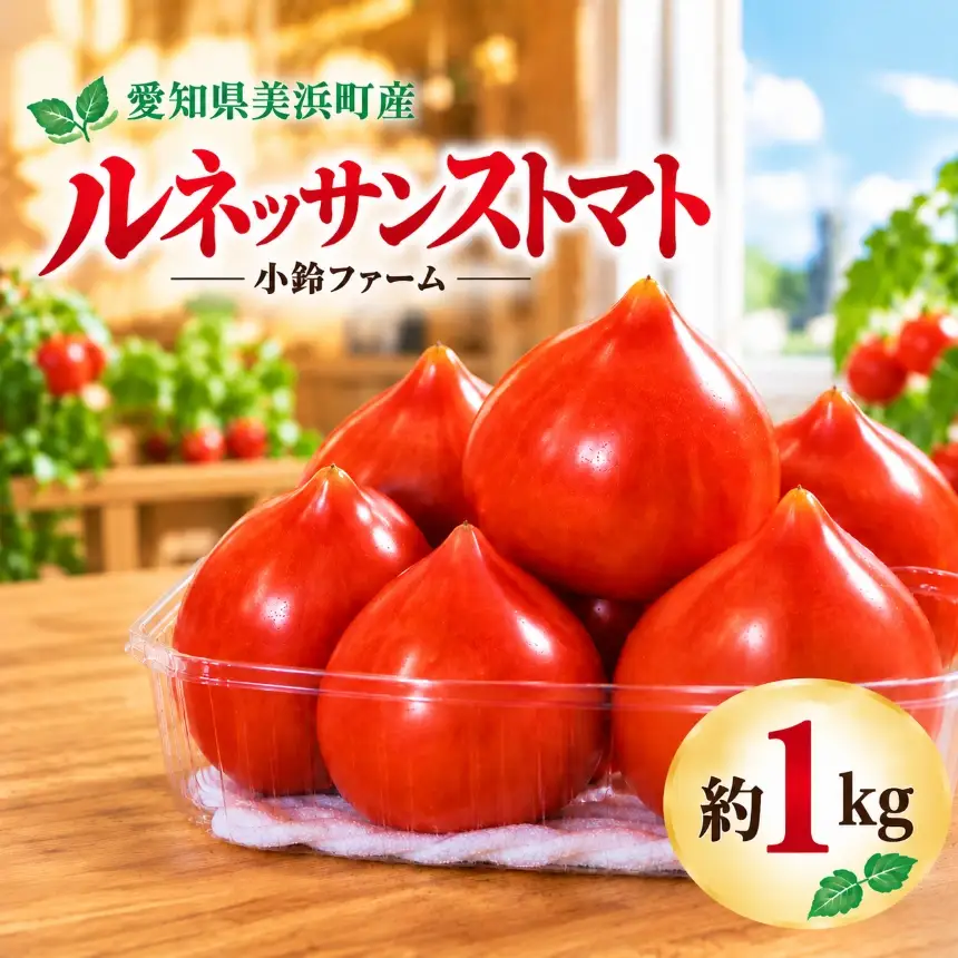 農家直送 旬のトマト  ルネッサンストマト 約1kg