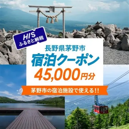 HISふるさと納税宿泊予約専用クーポン(長野県茅野市)45,000円分【1698141】