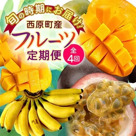 【発送月固定定期便】JAおきなわ厳選!季節の南国フルーツ 西原町の旬の味覚をお届け全4回【配送不可地域：離島】【4080888】