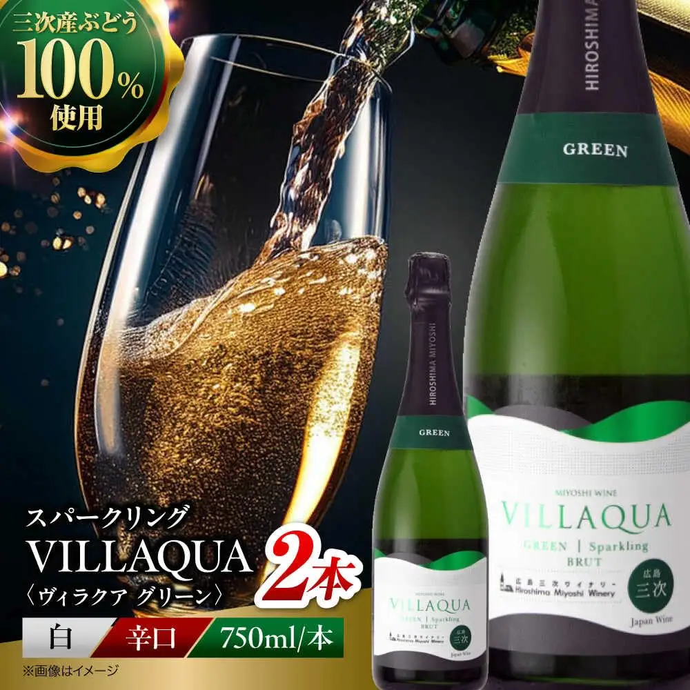 VILLAQUA -グリーン- 750ml×2本 [APAZ152] ワイン