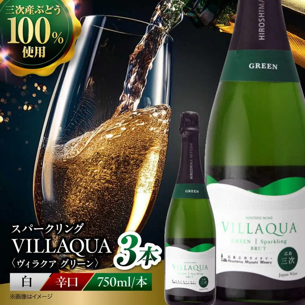 VILLAQUA -グリーン- 750ml×3本 [APAZ153] ワイン