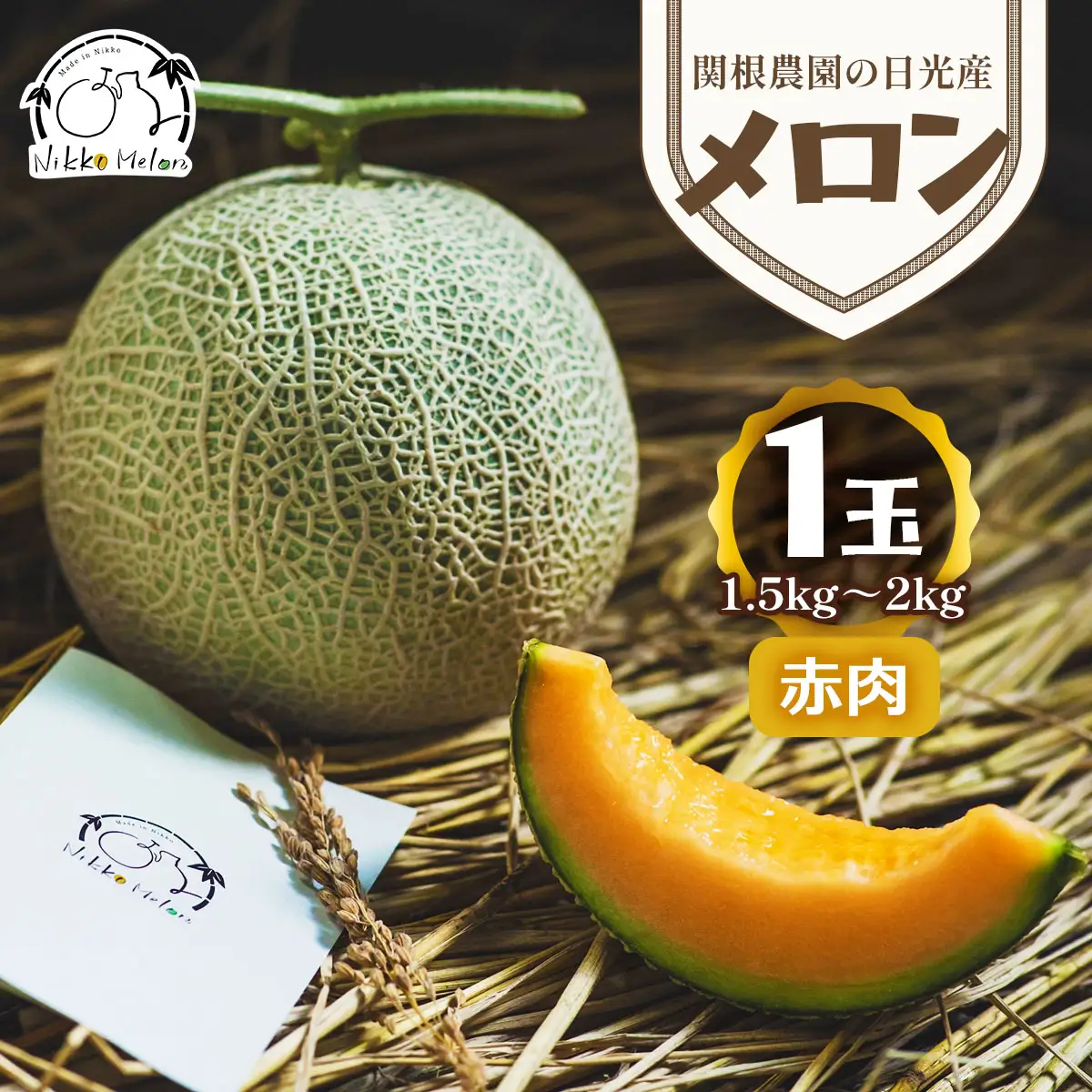 関根農園の日光産「赤肉メロン」1玉【2026年9月初旬より順次発送】｜先行予約 メロン 果物 くだもの フルーツ スイーツ 赤肉 日光市産 栃木県産 国産 [0850]