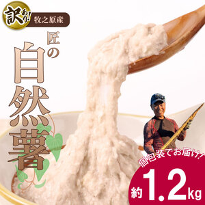 訳あり 自然薯 1.2kg  個包装 静岡県 牧之原市 自然薯 たくみファーム