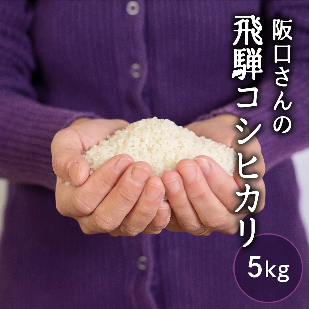 特別栽培米 コシヒカリ5kg 米 / こしひかり 米 阪口農園 米 5キロ