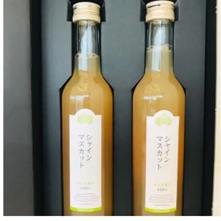 シャインマスカットジュース300ml×2本詰【配送不可地域：離島】【1273541】