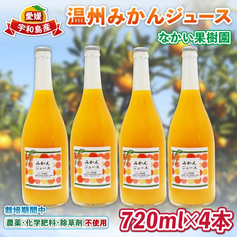 温州 みかん ジュース 720ml×4本 農薬 化学肥料 除草剤 不使用 なかい果樹園 ジュース H019-144005