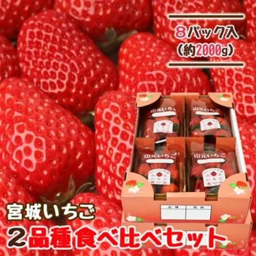山元いちご農園 宮城いちご 2品種食べ比べセット 8パック【配送不可地域：離島・北海道・沖縄県・信越、北陸・近畿・中国・四国・九州】【1693722】