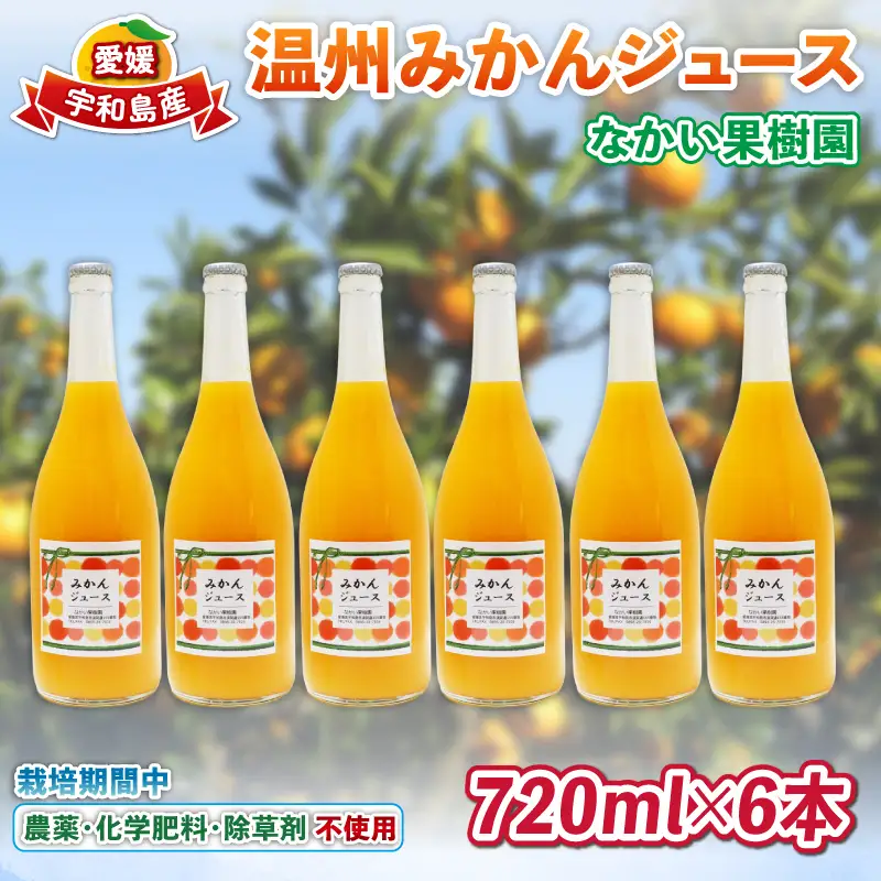 温州 みかん ジュース 720ml×6本 農薬 化学肥料 除草剤 不使用 なかい果樹園 ジュース H027-144006