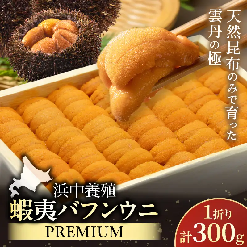 ≪浜中養殖≫蝦夷バフンウニ(300g)折箱入り　300g×一折り_H0038-106