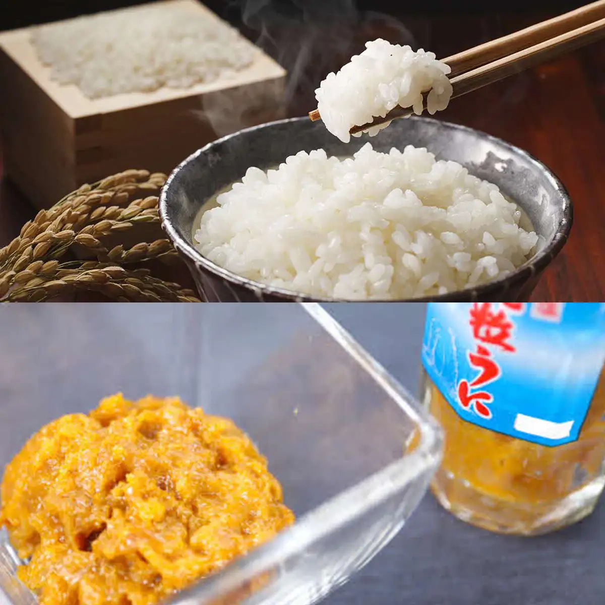 奥尻島産 ふっくりんこ&粒ウニセット (ふっくりんこ300g×5袋・粒ウニ×2本) | ミョウバン不使用 瓶詰め 無添加 キタムラサキウニ うに 雲丹 一夜漬け お米 精米 白米 米 珍味 おつまみ 国産 産直 産地直送 お取り寄せ グルメ | 北海道 奥尻町 送料無料