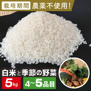 【身体が喜ぶ野菜】白米5kgと季節の野菜(おまかせ4〜5品)(茨城県共通返礼品／潮来市)｜米 お米 こめ 白米 野菜 野菜セット 栽培期間農薬不使用 無農薬 減農薬 茨城県共通返礼品 共通返礼品 茨城県 潮来市 行方市(BI-109)