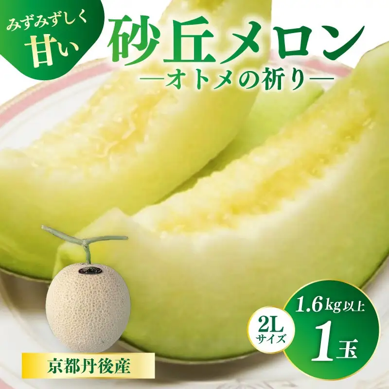 砂丘メロン【オトメの祈り】2Lサイズ／1玉入（2026年7月中旬～発送）