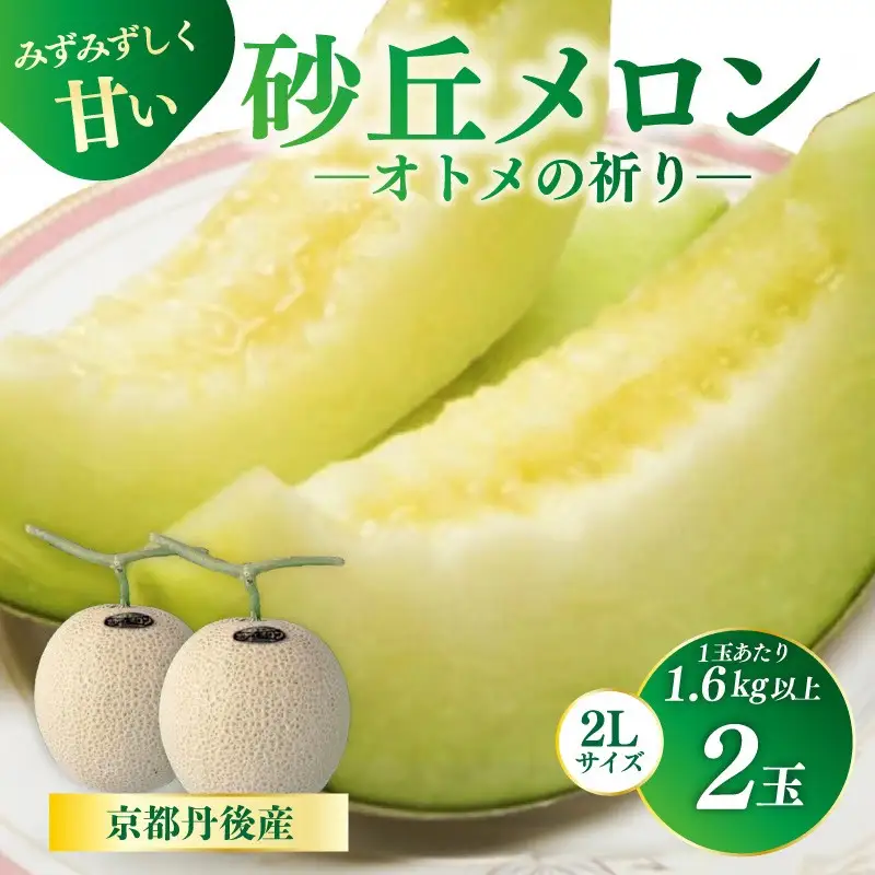 砂丘メロン【オトメの祈り】2Lサイズ／2玉入（2026年7月中旬～発送）