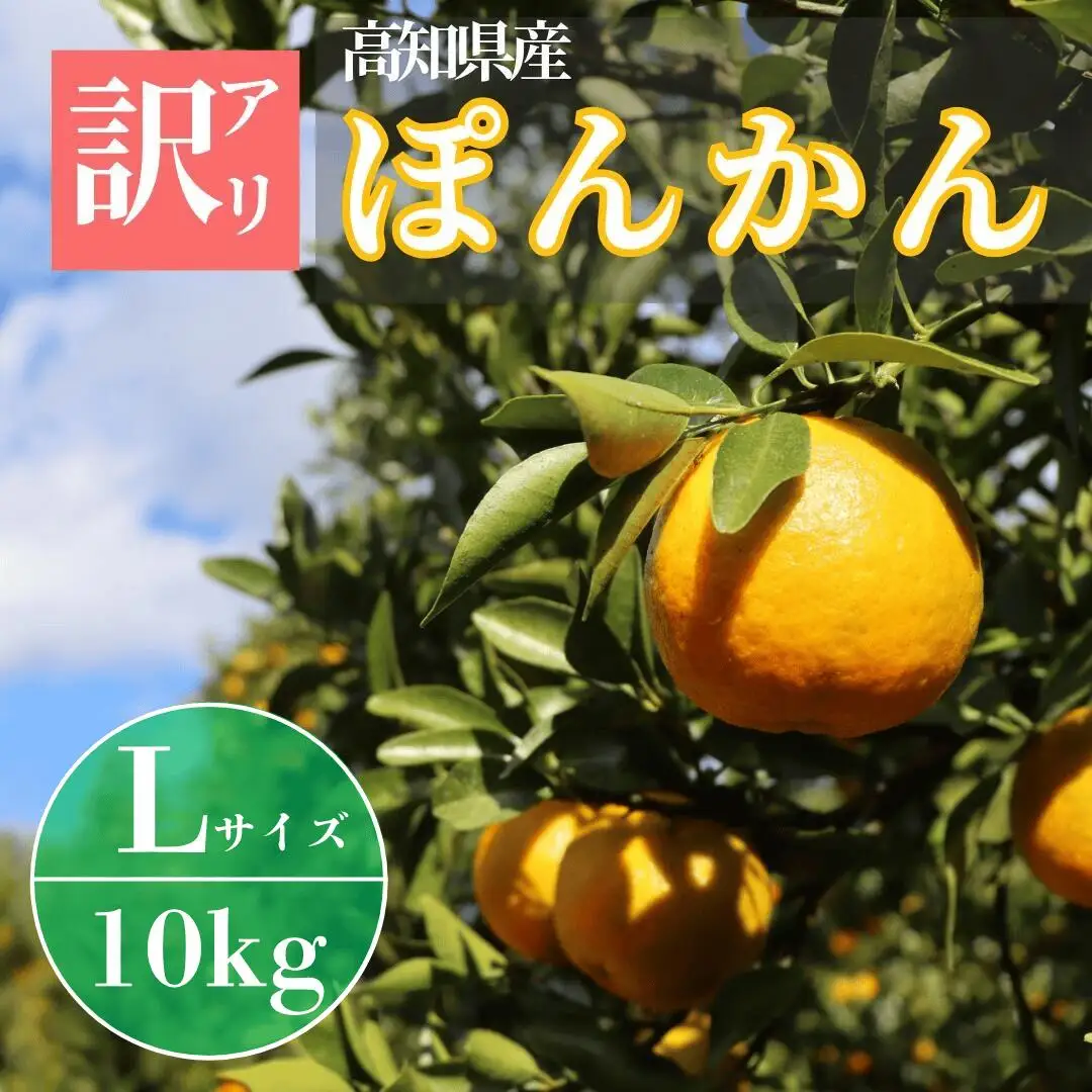 徳村の訳ありぽんかん Lサイズ ＜10kg＞