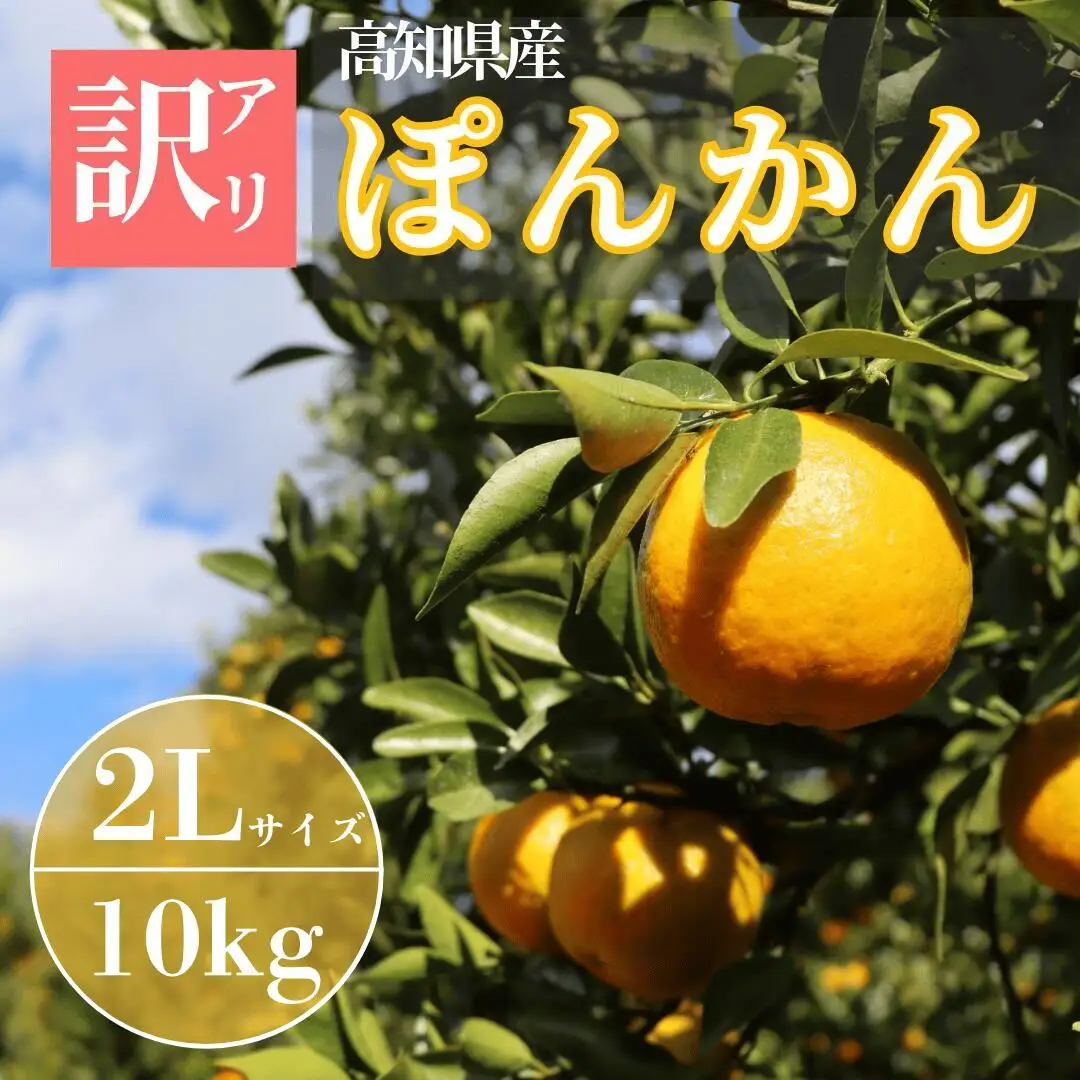 徳村の訳ありぽんかん 2Lサイズ ＜10kg＞