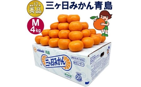 三ケ日みかん 青島【秀品】Mサイズ4kg(36個前後) ミカン 果物 くだもの フルーツ 甘い 果物類 柑橘類静岡 浜松市【配送不可：北海道・沖縄・離島】