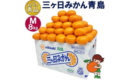三ケ日みかん 青島【秀品】Mサイズ8kg(72個前後) ミカン 果物 くだもの フルーツ 甘い 果物類 柑橘類 静岡 浜松市【配送不可：北海道・沖縄・離島】