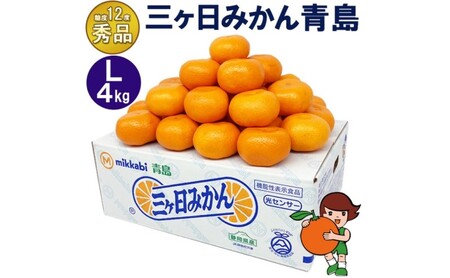 三ケ日みかん 青島【秀品】Lサイズ4kg(30個前後) ミカン 果物 くだもの フルーツ 甘い 果物類 柑橘類 静岡 浜松市【配送不可：北海道・沖縄・離島】