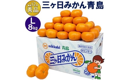 三ケ日みかん 青島【秀品】Lサイズ8kg(60個前後) ミカン 果物 くだもの フルーツ 甘い 果物類 柑橘類 静岡 浜松市【配送不可：北海道・沖縄・離島】