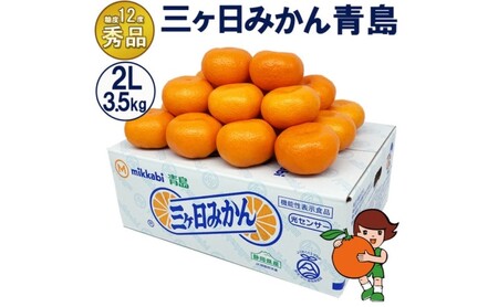 三ケ日みかん 青島【秀品】2Lサイズ3.5kg(20個前後) ミカン 果物 くだもの フルーツ 甘い 果物類 柑橘類 静岡 浜松市【配送不可：北海道・沖縄・離島】