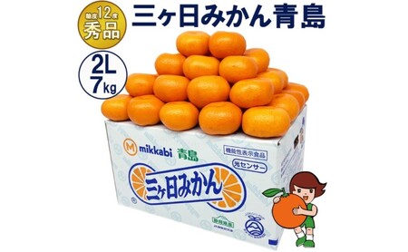 三ケ日みかん 青島【秀品】2Lサイズ7kg(40個前後) ミカン 果物 くだもの フルーツ 甘い 果物類 柑橘類 静岡 浜松市【配送不可：北海道・沖縄・離島】