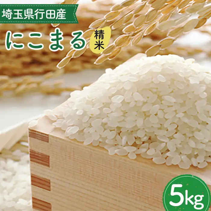 埼玉県行田産にこまる（精米）5kg×1 ／ にこまる 白米 精米 5kg 特別栽培米 大粒 米 甘み 粘り 精米したて 冷めても美味しい お弁当 おにぎり 毎日食べる米 粒立ち 埼玉県 No.519
