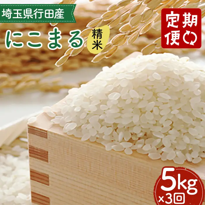 【3カ月連続定期便】埼玉県行田産にこまる（精米）5kg×3回 ／ 定期購入 定期的 毎月届く 毎月配送 にこまる 白米 精米 5kg 特別栽培米 大粒 米 甘み 粘り 精米したて 冷めても美味しい お弁当 おにぎり 毎日食べる米 粒立ち 埼玉県 No.521