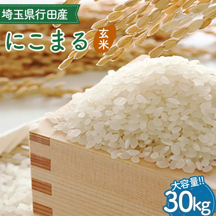 埼玉県行田産にこまる（玄米）30kg×1 ／ にこまる 玄米 30kg たっぷり 大容量 たくさん ボリューム 特別栽培米 大粒 米 甘み 粘り 冷めても美味しい お弁当 おにぎり 毎日食べる米 健康志向 食感 粒立ち 埼玉県 No.523