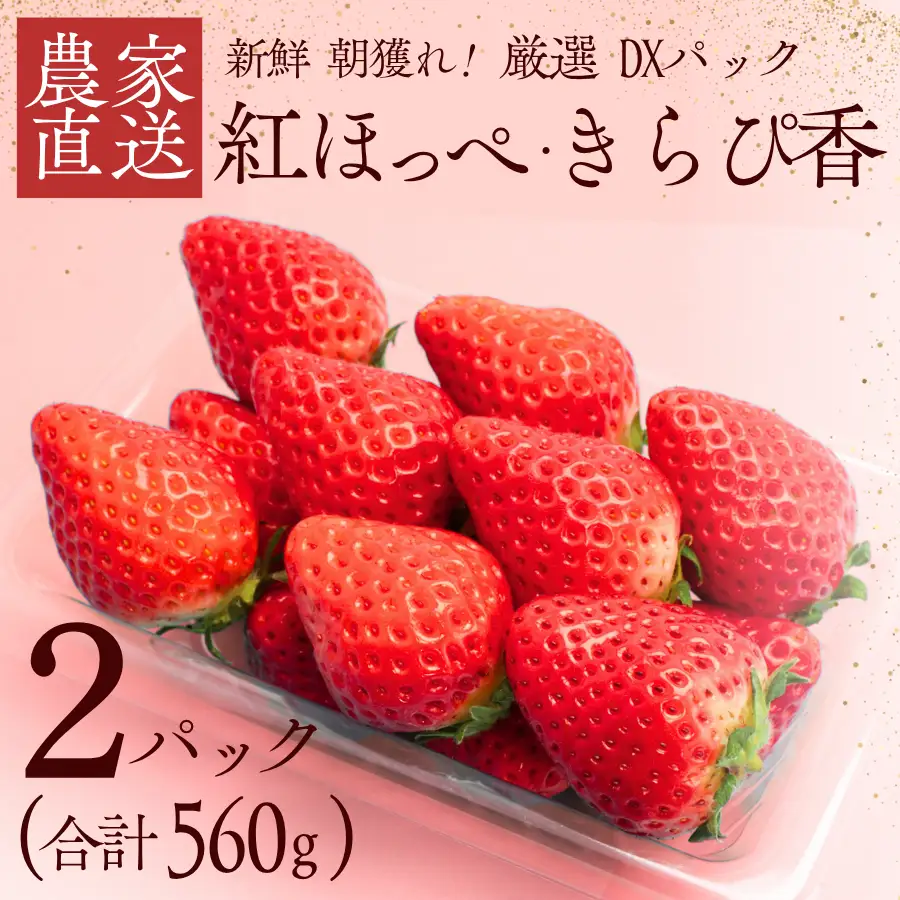 【先行予約＿2027年出荷分】いちご 厳選いちご 280g×2パック
