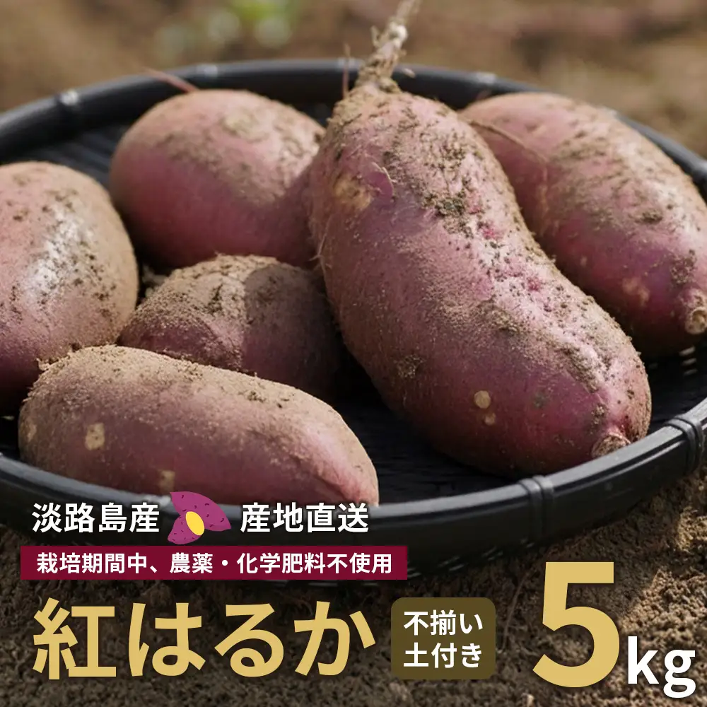 【産地直送】紅はるか（淡路島産）土付き　約5kg　不揃い【栽培期間中、農薬・化学肥料不使用】 さつまいも