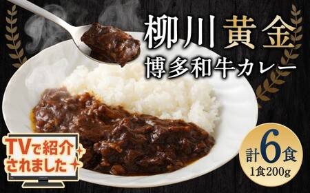 【TVで話題】柳川黄金博多和牛カレー （6箱） カレー レトルト