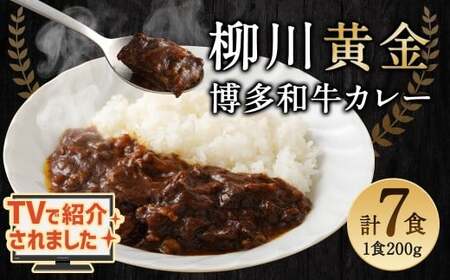 【TVで話題】柳川黄金博多和牛カレー （7箱） カレー レトルト