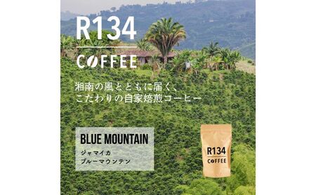 コーヒーセット R134ハワイコナブルーマウンテン コーヒーセット【自家焙煎 100g粉×2種】