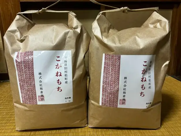 【先行予約】令和8年産 旧村松町産 こがねもち 10kg(5kg×2袋) 新潟県 五泉市 株式会社熊倉商店