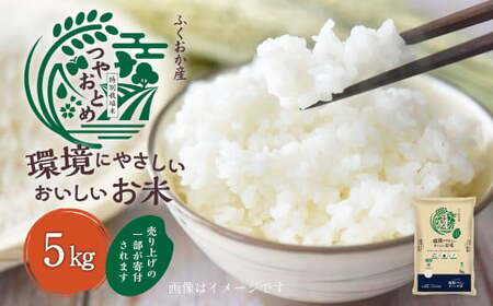 T11 【令和7年産】 環境にやさしいおいしいお米 5kg×1袋 【2026年10月上旬迄順次発送予定】 つやおとめ 精米 米 バイオマス 福岡県 みやま市