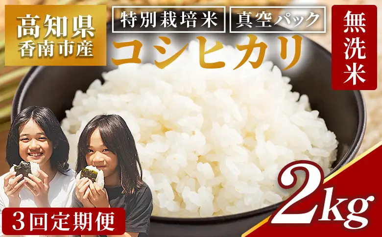 【3回定期便】無洗米  コシヒカリ ２ｋｇ 令和8年産 特別栽培米 無洗 Wnu-0011
