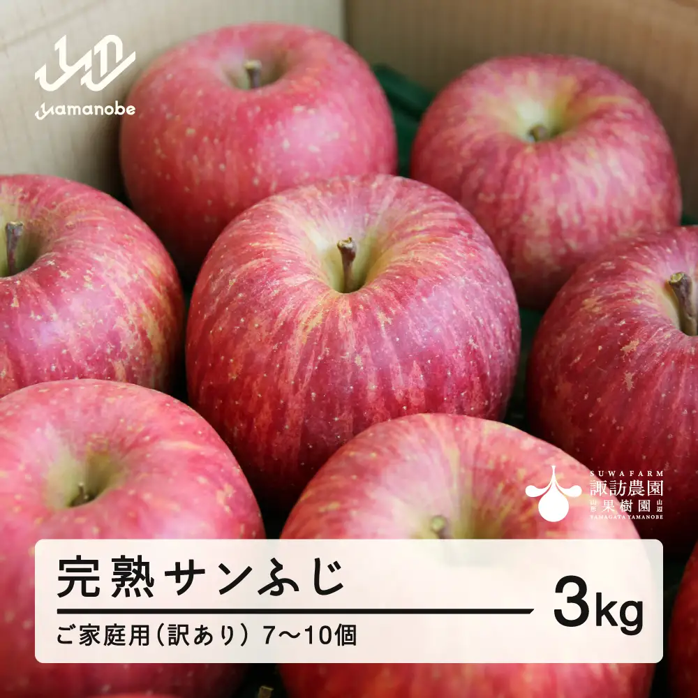 《先行予約》2026年 山形県産 完熟 サンふじ りんご ご家庭用 訳あり 3kg 7~10個 2026年12月上旬から順次発送 リンゴ フルーツ ※沖縄・離島への配送不可  sw-risfk3