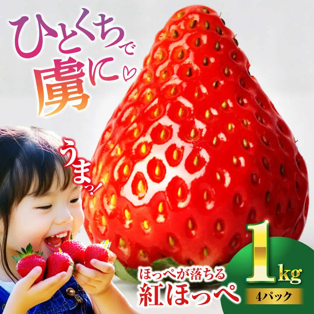 【いちご】いちご 約1kg [AGBN054]