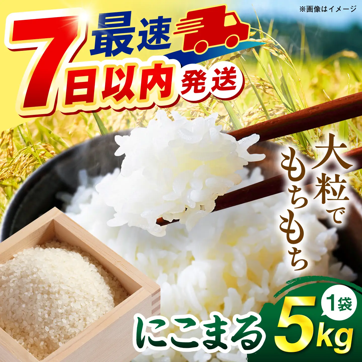 【令和7年産】【スピード発送】にこまる  白米 5kg(5キロ)  糸島市 / 糸島の恵み[AGR001] お米