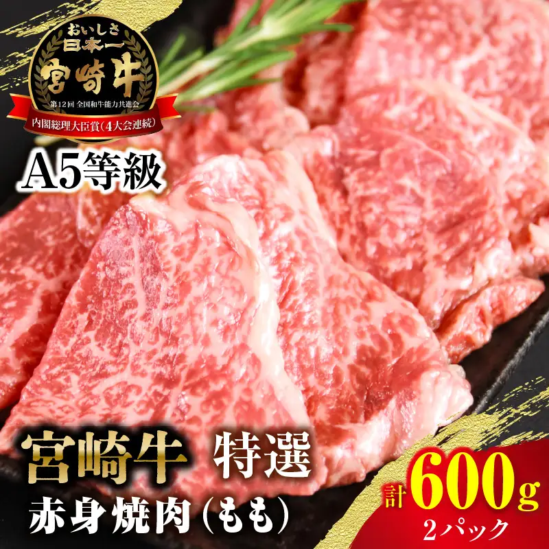 【新鮮チルド】宮崎牛特選 赤身焼肉 合計600g（2パック）_kn123-006-01