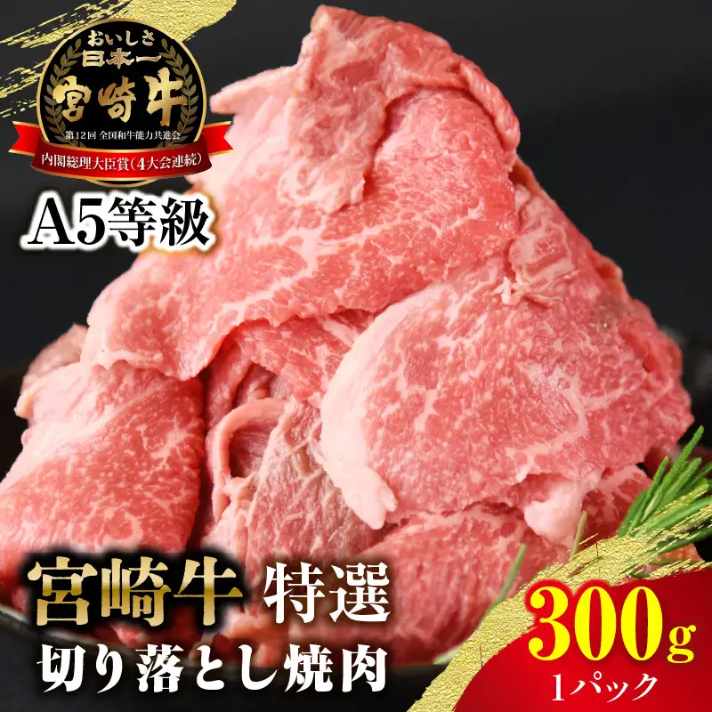 【訳あり】宮崎牛 切り落とし焼肉 合計300g（1パック）_kn123-009