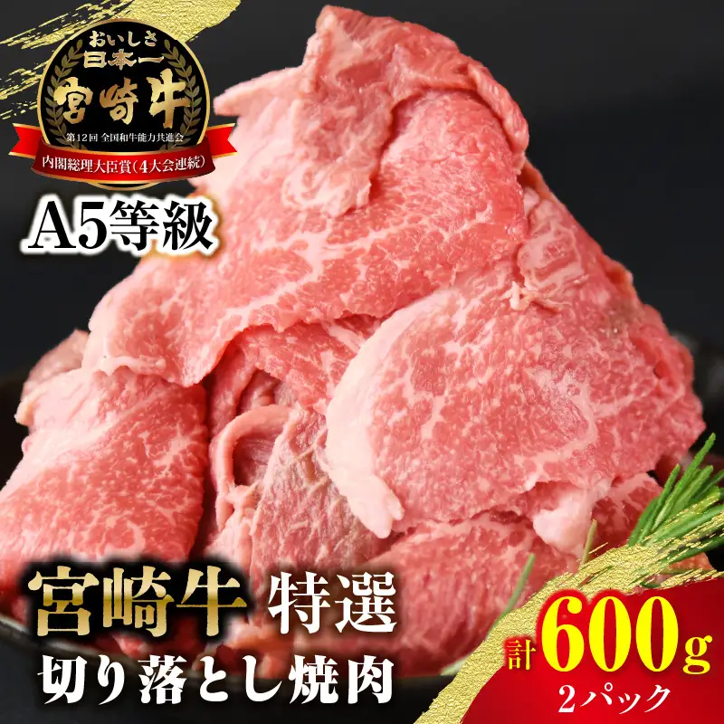 【訳あり】宮崎牛 切り落とし焼肉 合計600g（2パック）_kn123-009-01