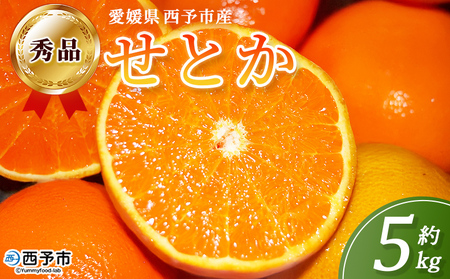 ＜秀品 せとか 約5kg＞蜜柑 ミカン みかん 果物 フルーツ 柑橘 柑橘の女王 果汁 ジューシー 国産 愛媛県産 西予市産 ギフト 贈答用 高級柑橘 特産品 丸二青果 愛媛県 西予市【常温】『2026年2月頃に順次出荷予定』MMY0007
