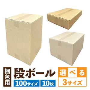 梱包用段ボール 100サイズ 10枚  梱包用 段ボール セット 選べる サイズ 規格 コンパクト 扱いやすい 段ボール箱 梱包 衣類 収納 片付け 整理 DIY 工作 荷物 引っ越し 防災 備蓄 便利 フリマ 通販 配送 荷造り お取り寄せ 愛知県 小牧市 送料無料 [206A02]