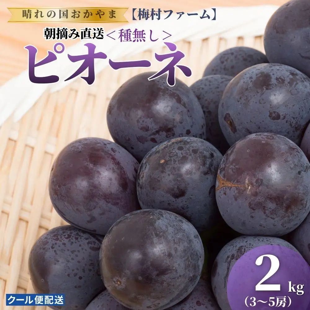 【2026年発送 先行予約】【梅村ファーム】朝摘み直送 ピオーネ（3～5房入り 約2.0kg）【030-a021】