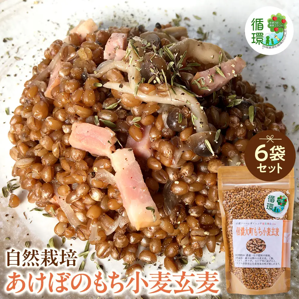【信濃大町循環ブランド】自然栽培あけぼのもち小麦玄麦６袋セット