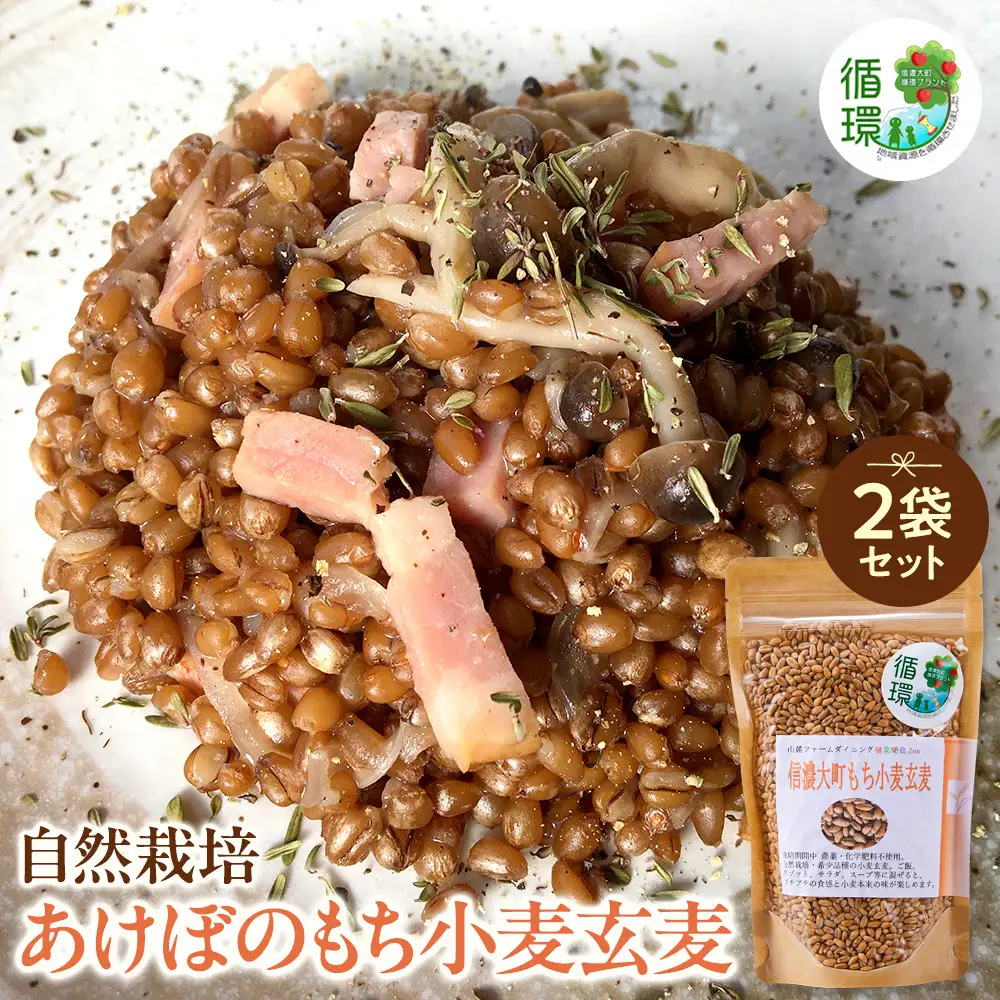 【信濃大町循環ブランド】自然栽培あけぼのもち小麦玄麦２袋セット